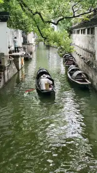 原相機live煙雨江南在紹興具象化了