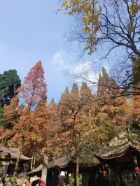 都江堰靈巖寺最容易領的獎牌