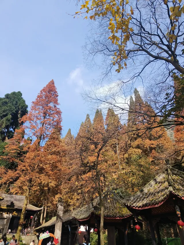 都江堰靈巖寺最容易領的獎牌