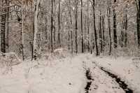 秋遊必看昌吉回族自治州等地超全攻略