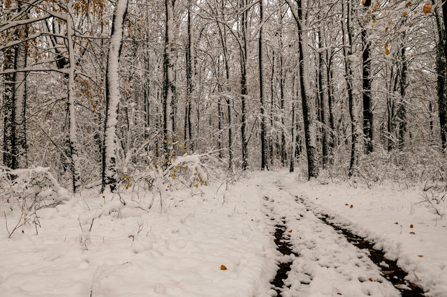 秋遊必看昌吉回族自治州等地超全攻略 秋遊必看昌吉回族自治州等地超全攻略