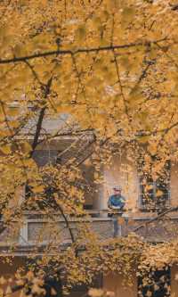 接下來的韶關,將是上帝打翻的調色盤!