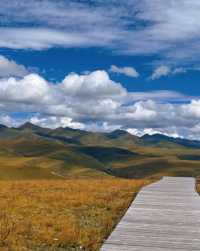 秋日限定甘南等地要去錯過等一年