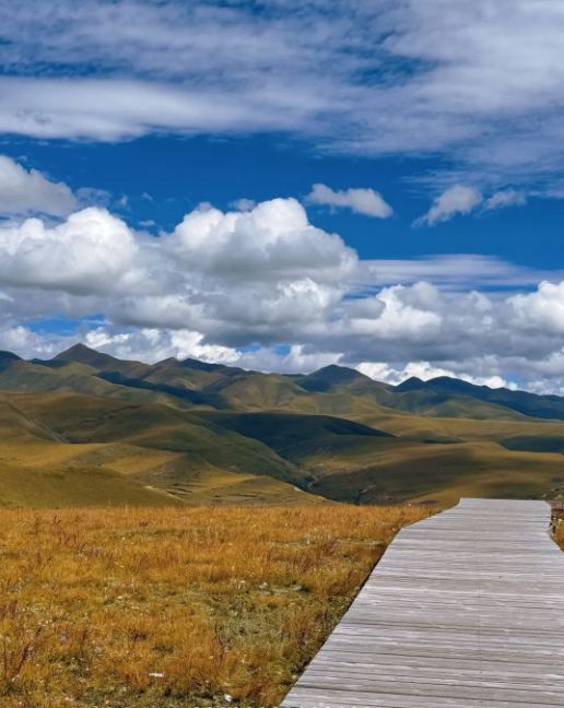 秋日限定甘南等地要去錯過等一年