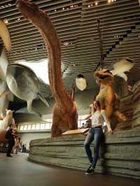 Самый красивый Шанхайский музей природы 🦖🇨🇳