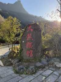 神農架 / 大熊貓館