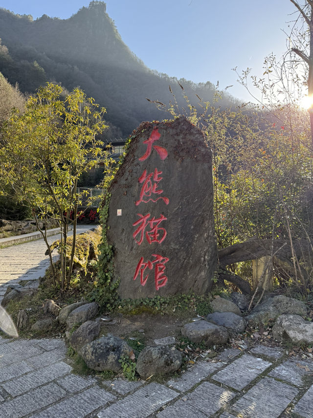 神農架 / 大熊貓館 神農架 / 大熊貓館