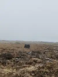 情書同款雪景甘孜紅海子下了一場大雪
