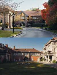 清晨8點,我拍到了樹的呼吸聲!