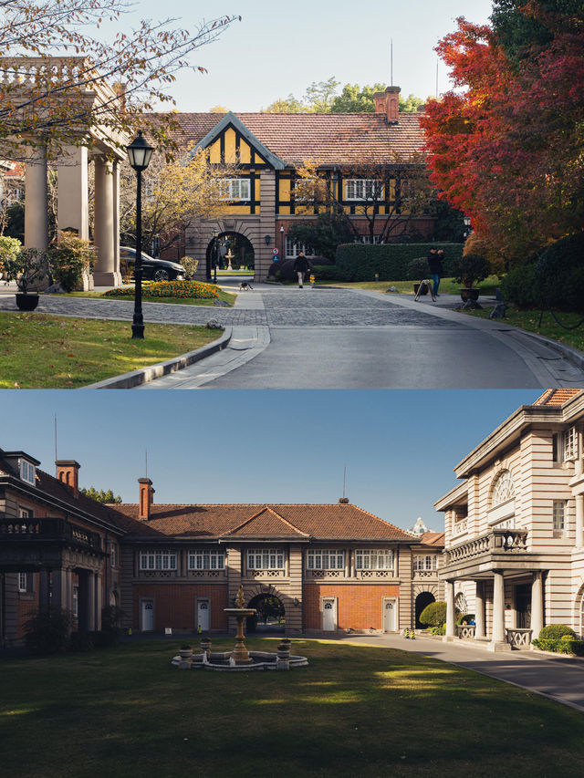 清晨8點,我拍到了樹的呼吸聲! 清晨8點,我拍到了樹的呼吸聲!