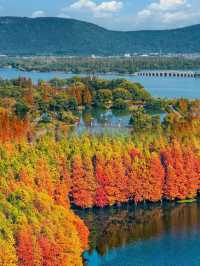 江蘇人嘴真嚴,這麼美的地方藏著不說~