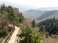 雞冠山探秘：豫西的奇峰秀水，來一場說走就走的“野趣”之旅