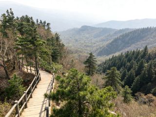 การสำรวจ Jiguanshan: การเดินทางที่ตื่นเต้นเร้าใจผ่านยอดเขาและผืนน้ำอันน่าทึ่งของเหอหนานทางตะวันตก