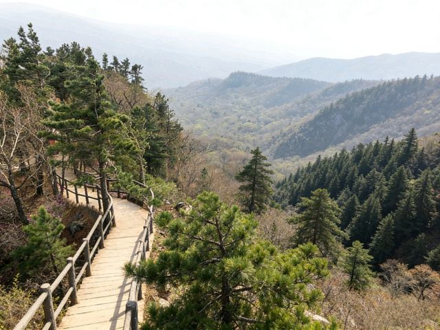 雞冠山探秘：豫西的奇峰秀水，來一場說走就走的“野趣”之旅