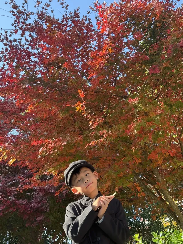 美得不像在莆田!朋友圈都在問的超絕秋景 美得不像在莆田!朋友圈都在問的超絕秋景