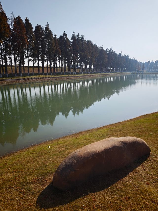 太湖綠地公園 太湖綠地公園