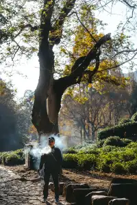 26.11.25 杭州 九溪煙樹