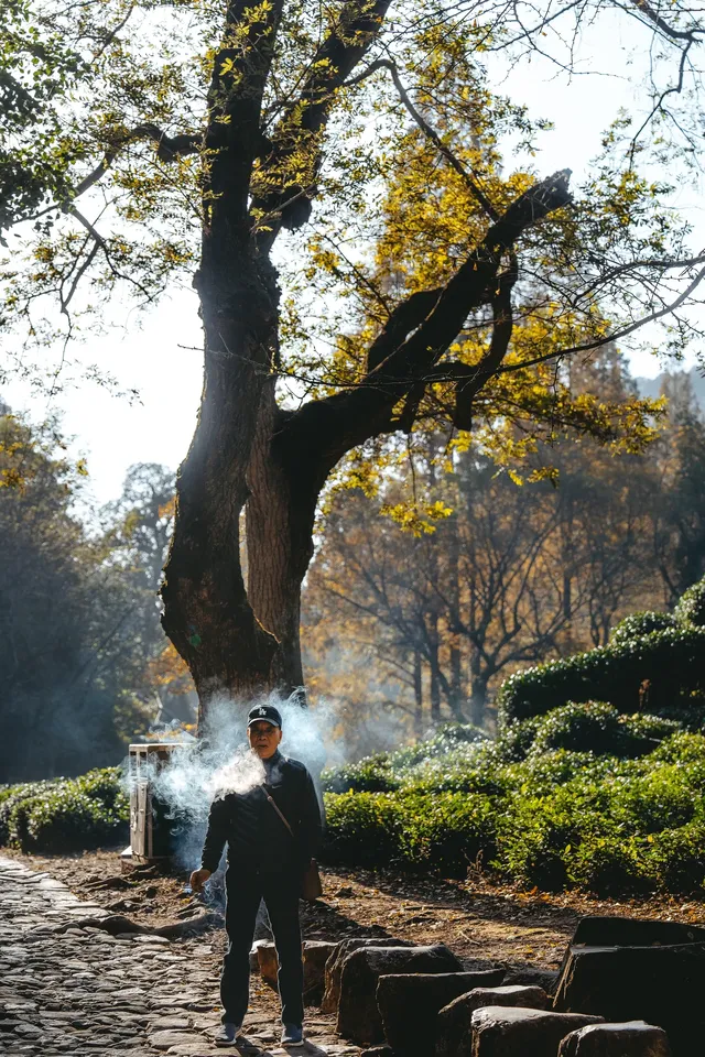 26.11.25 杭州 九溪煙樹 26.11.25 杭州 九溪煙樹