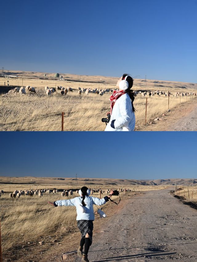 西北環線躺平首選希岸智享酒店太舒適啦