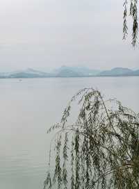 行者遊記|寧波黃金大道東錢湖Zui上鏡銀杏林