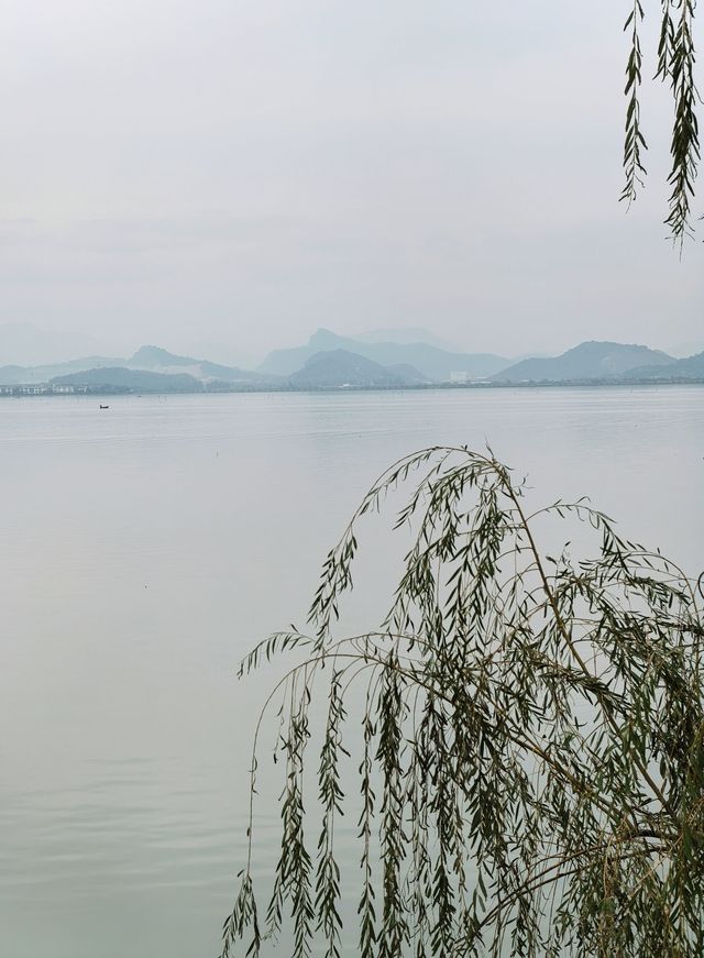 行者遊記|寧波黃金大道東錢湖Zui上鏡銀杏林 行者遊記|寧波黃金大道東錢湖Zui上鏡銀杏林