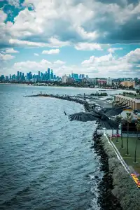 墨爾本海邊跑步,發現了現實版的瘋狂動物城