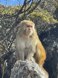 稻城亞丁的秋天，是上帝打翻的調色盤！