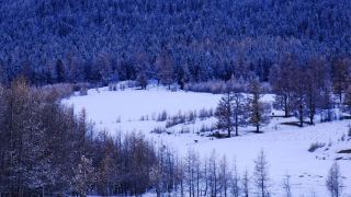 Hami's winter snow scenery is like a painting