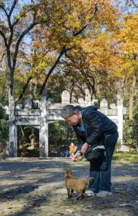 人你好,我是靈谷寺的咪,來看看我和秋天嗎