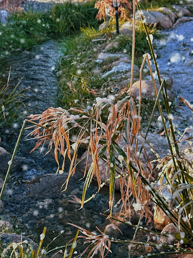 不在北歐！西安秦嶺聖誕氛圍1000%