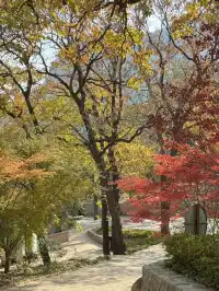 青島|崂山太清聯票攻略,一眼看明白怎麼玩