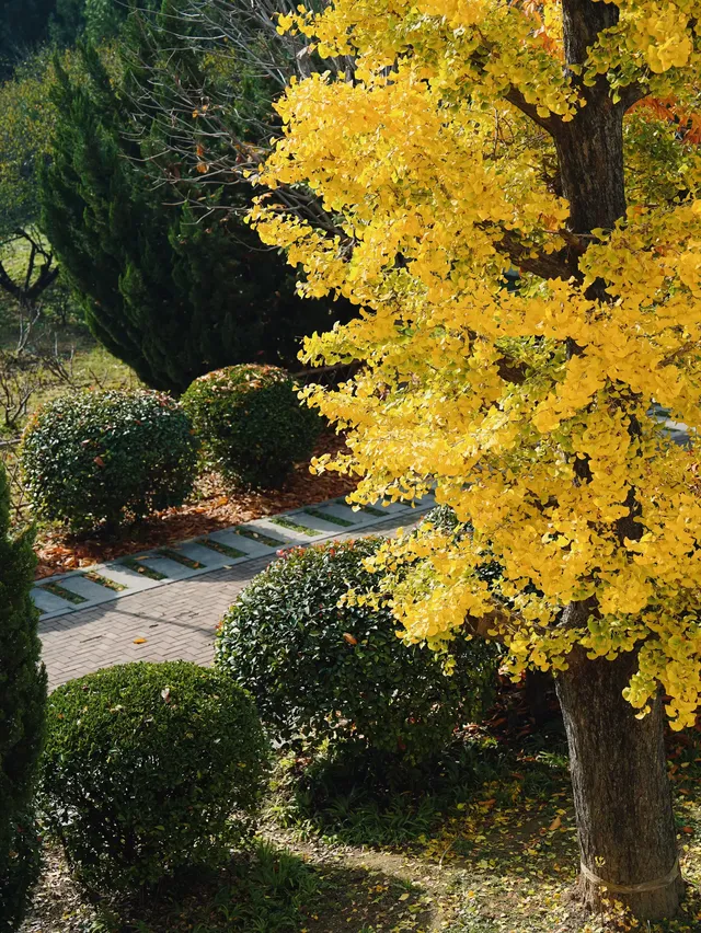 洛陽一日遊精華|暴走3大景點,雖累但值! 洛陽一日遊精華|暴走3大景點,雖累但值!