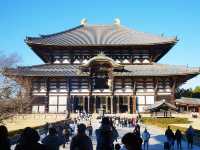 11月好去處|奈良東大寺:古韻與秋色共舞