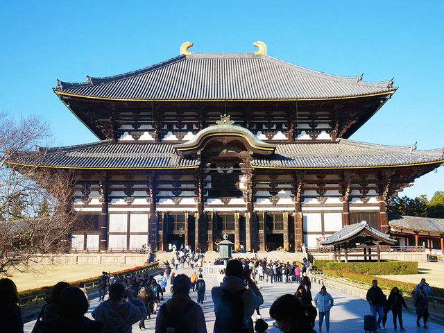 11月好去處|奈良東大寺:古韻與秋色共舞 11月好去處|奈良東大寺:古韻與秋色共舞