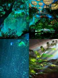 以為海洋館夠絕了，直到闖進上海這片水底森林