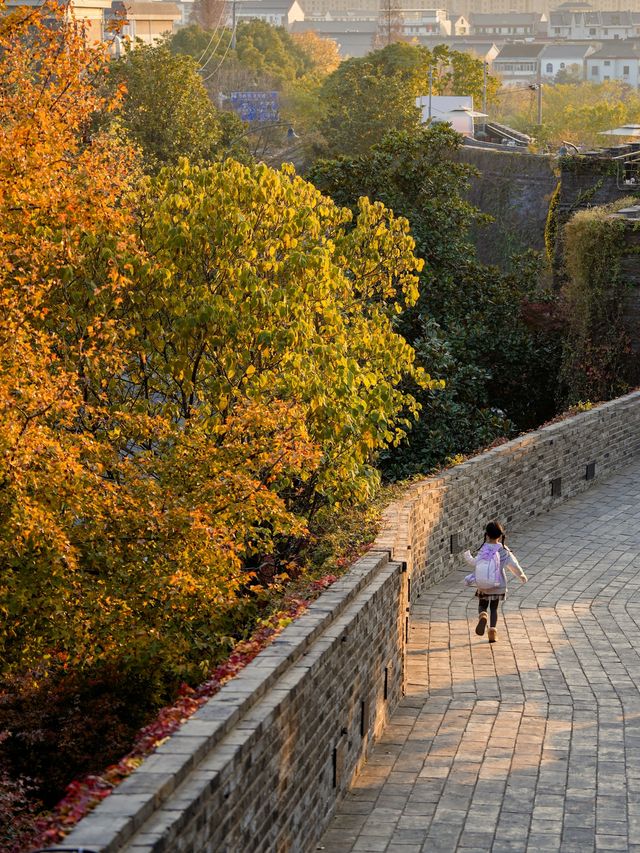 週末48h常熟遊江浙滬出行寶藏小城