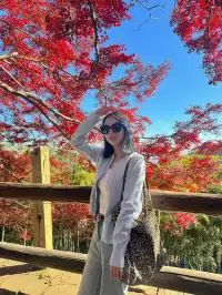 莫干山蔣公古道 請大膽浪費時間給秋天