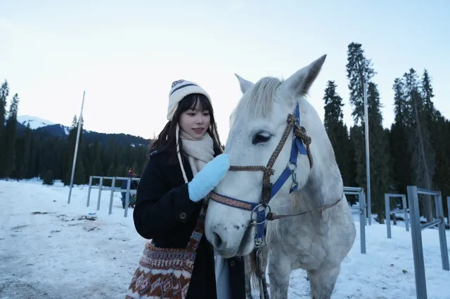 成都出發四天新疆伊犁之旅記錄(非特種兵 成都出發四天新疆伊犁之旅記錄(非特種兵