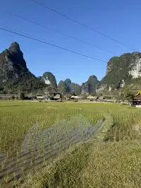 崇左明仕田園記憶