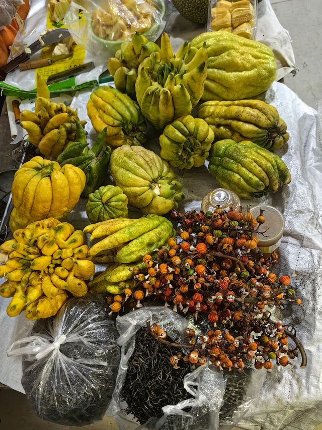 溫暖元江,放鬆心靈的原鄉! 溫暖元江,放鬆心靈的原鄉!