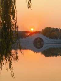 沔青園記 | 一脈水鄉印古今