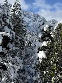 廣東高鐵1.5h直達！莽山霧淞不爬山攻略