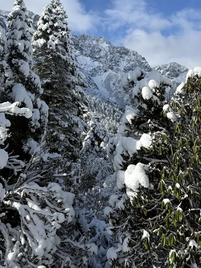 廣東高鐵1.5h直達！莽山霧淞不爬山攻略