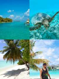 馬爾代夫太陽島度假村 | 熱帶天堂中的瑰寶 酒店:太陽島度假村 地址:太陽島,馬爾代