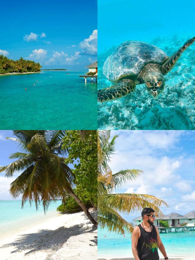 馬爾代夫太陽島度假村 | 熱帶天堂中的瑰寶 酒店:太陽島度假村 地址:太陽島,馬爾代 馬爾代夫太陽島度假村 | 熱帶天堂中的瑰寶 酒店:太陽島度假村 地址:太陽島,馬爾代