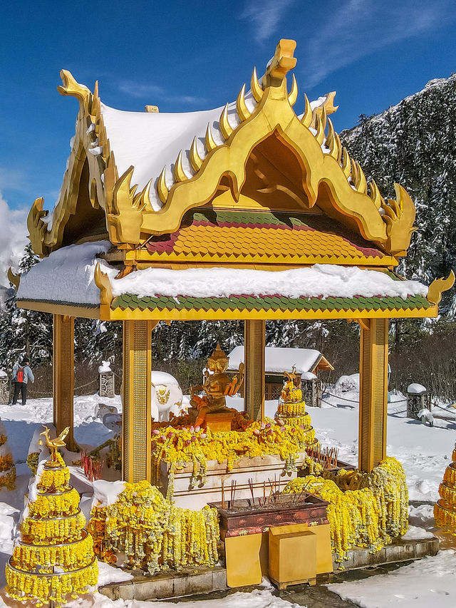 秋末初冬的海螺溝,是雪與金黃交織的雙重浪漫 原來季節的交界,可以這麼好看。 冬日的海螺溝是銀裝 秋末初冬的海螺溝,是雪與金黃交織的雙重浪漫 原來季節的交界,可以這麼好看。 冬日的海螺溝是銀裝