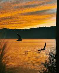 在大理,我找到了一個人少景美的晚霞秘境