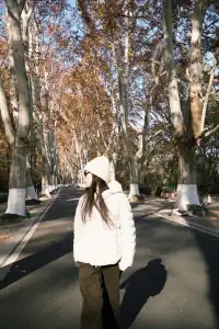 鐘山風景區精華指南含無人版梧桐大道