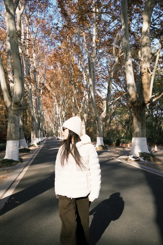 鐘山風景區精華指南含無人版梧桐大道 鐘山風景區精華指南含無人版梧桐大道