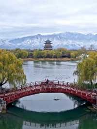 西安渼陂湖|私藏「小江南」被我找到了!